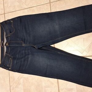 Q women's Silver Crush blue stretch skinny jeans size 16W  EUC